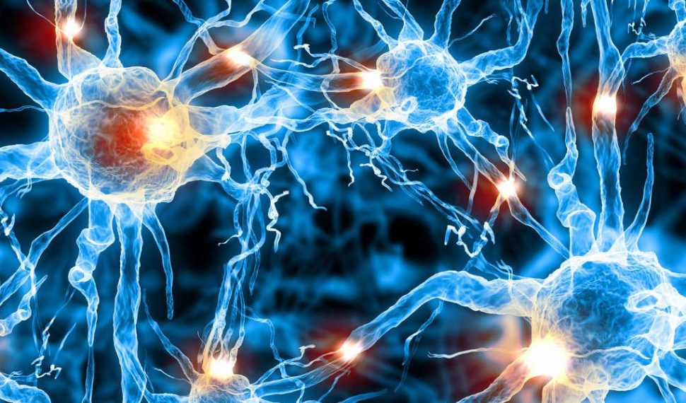 cells energized drgalitzer 970x570